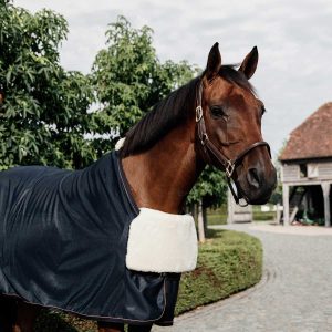 Kentucky BIB bogskydd