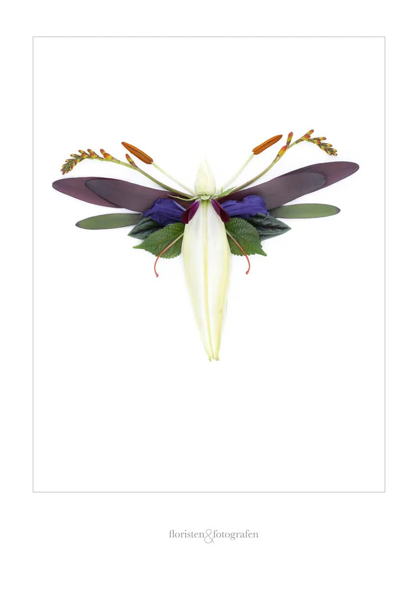 Poster 40x60 cm